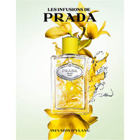 Infusion D'Ylang  100ml-218056 Infusion D'Ylang  100ml-218056 3